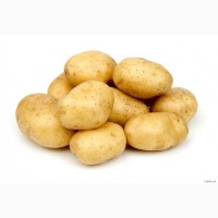 Семенной картофель Гала
