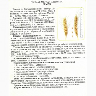 Семена озимой пшеницы урожая 2020г. сорт Ермак