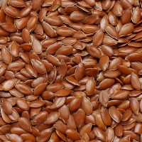 Лён масличный семена сорт Август I-й (первой) репродукции
