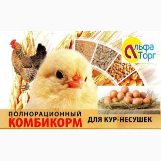Комбикорм полнорационный ПК-1-2-18 для КУР несушек(48недель и старше)