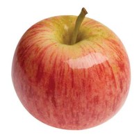 Яблоки Галла 65