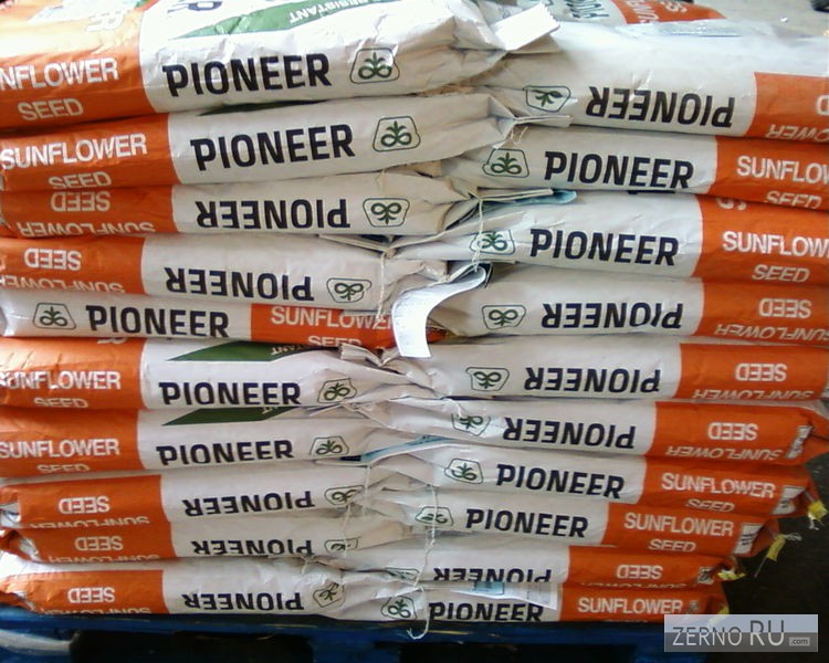 Семена гибридов подсолнечника кукурузы Pioneer, Syngenta, NS, LG и др