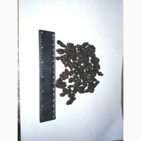 Оптом Изюм темный Афганский, 12, 5 кг