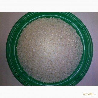 Рис круглозкрный 1 сорт
