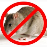 Продаём Биобактороденцид форте для борьбы с грызунами (мыши, крысы)
