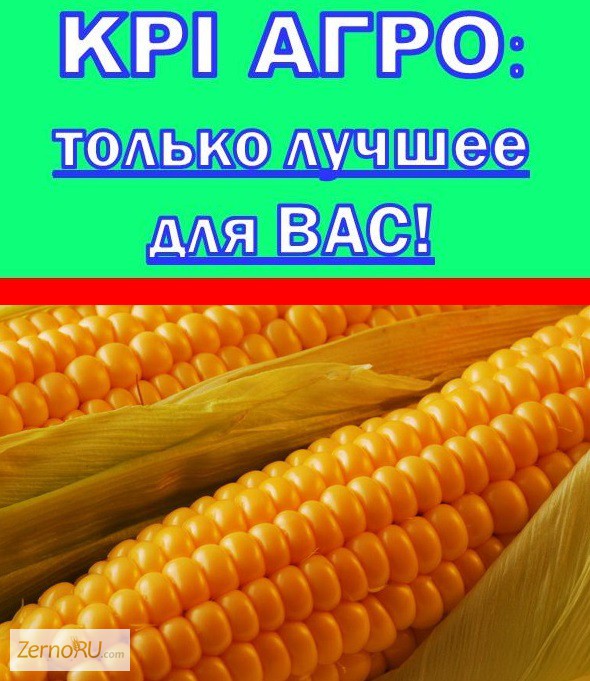 Займы в кбр