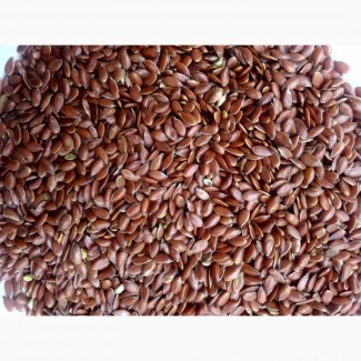 ООО НПП «Зарайские семена» закупает семена льна масличного