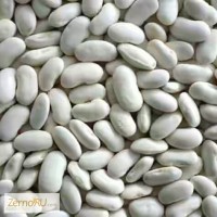 Продаем фасоль от производителей Кыргызстана