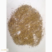 Продажа семян Клевера лугового