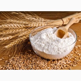Продаём пшеничную муку на экспорт происхождения Украина