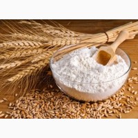 Продаём пшеничную муку на экспорт происхождения Украина