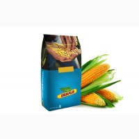 ДКС 5007 семена гибридов кукурузы (Monsanto) ФАО 420