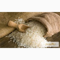 Продам рис Кубанский(ГОСТ, ТУ). Производитель
