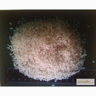 Рис оптом от 20 тн