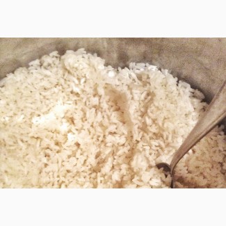 Рисовый завод предлагаем оптом рис Рапан Регул в Москве и Московской области