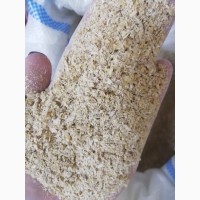 Отруби пшеничные, содержание белка 17%. КАЗАХСТАН/ КОСТАНАЙ