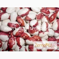 Продаем фасоль белую и красную 7 видов от Кыргызцентрпродукт