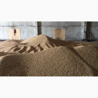 Продам пшеницу фуражную урожай 2017года