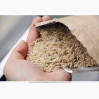 Продам рис высший сорт, рис для суши, ГОСТ, ТУ, Дробь, Камолино оптом от производителя