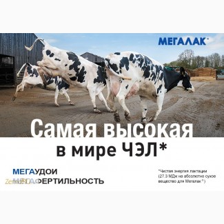 Продам защищенный жир Мегалак для коров