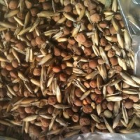 Закупаем семена горохо-овсяной смеси от 60 тонн