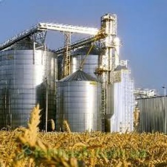 Экспорт пшеницы в Ливию