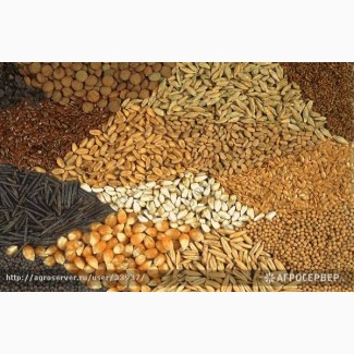 Закупаем зернобобовые смеси от 20 тонн -россыпью, в мешках или Биг Бегах