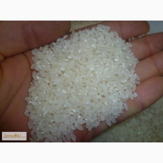 Продам рис сырец и крупу Краснодарского края