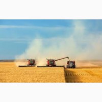 Резерв зерна из РФ урожай 2018
