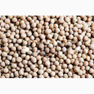 ООО НПП «Зарайские семена» закупает фуражное зерно: люпин от 40 тонн