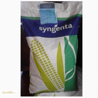 Семена гибридов кукурузы (Рioneer, NS, Monsanto, Limagrain, Singenta, Еuralis)