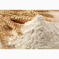 Экспорт муки пшеничной хлебопекарной в Иран на CFR