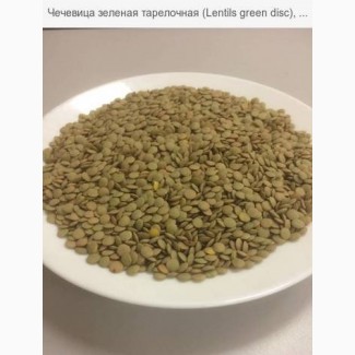 Продаю Чечевица зеленая тарелочная (Lentils green disc), ГОСТ 7066077
