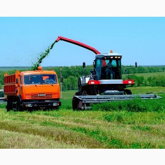 Услуги уборки урожая зерноуборочными комбайнами